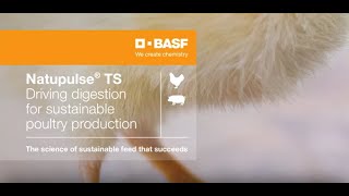 Natupulse® TS  Driving digestion with diverse modes of action [upl. by Latsirc]