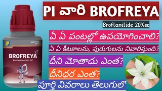 PI BROFREYA insectiside telugu  pi company  technical  broflanilide 20sc brofreya 20sc [upl. by Aitnas]