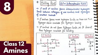 8 Boiling point and solubility of amines Amines vs alcohols Amines Class12 Chemistry neet jee [upl. by Aihseyk]