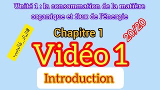 La consommation de la matière organique et le flux d’énergie [upl. by Sad]