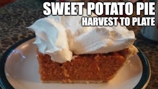 Sweet Potato Pie Recipe  Harvest To Plate [upl. by Jazmin]