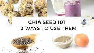 Chia Seed 101  3 Ways To Use Chia Seeds [upl. by Lewert]