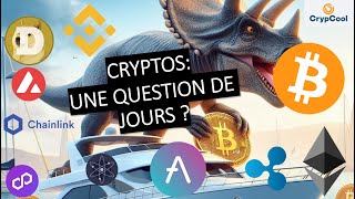 Investir 5 de don portefeuille dans lécosystème cryptos 031124 [upl. by Ahtis]