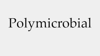 How to Pronounce Polymicrobial [upl. by Danella688]