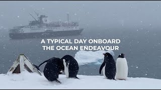 A Typical Day on the Ocean Endeavour in Antarctica [upl. by Millan]