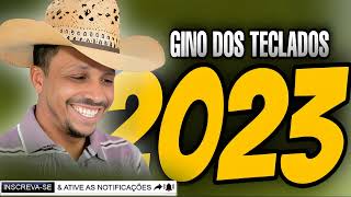 GINO DOS TECLADOS CD TOP 2023 [upl. by Attezi755]