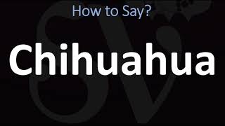 How to Pronounce Chihuahua CORRECTLY [upl. by Thurber170]