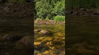 natural water flowing sound naturesounds naturesoundsforstressrelief relax [upl. by Fesuoy]