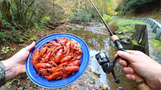 Fishing for Crawfish and Boiling Em in Butter [upl. by Yancey]