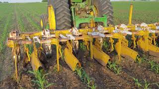 1st Pass Cultivation for Organic corn with Buffalo Cultivator [upl. by Nemaj88]