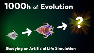 What happens after 1000 hours of Evolution Recreating the largest evolution experiment ever [upl. by Dennison]