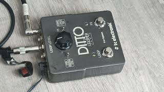 Review Ditto looper x2 in one minute [upl. by Debbie]