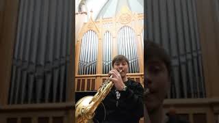 M Ravel Pavane Horn solo orchestra excerpt [upl. by Zandt]