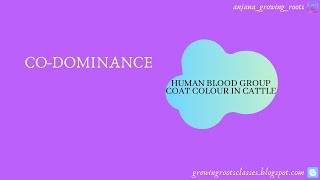 Codominance  Malayalam  Coat Color In Cattle  Human Blood Group  Codominance  Genetics [upl. by Hamon]