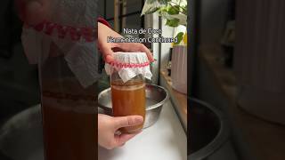 Nata de Coco shorts fermentation experiment snack coconut food homemade diy [upl. by Darnall310]