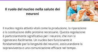 Il Corpo cellulare del Neurone e il ruolo del Nucleo [upl. by Ameyn]