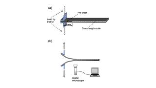 Interlaminar Fracture Toughness Test [upl. by Whalen382]