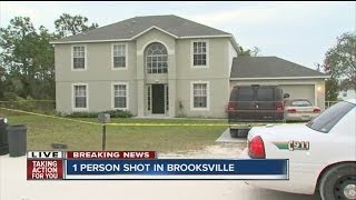 Domestic related shooting in brooksville [upl. by Stearne]