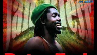 Peter Tosh  Peace Treaty [upl. by Ainar]