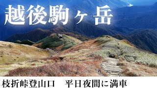 越後駒ヶ岳 枝折峠登山口 20241023 [upl. by Jonell]