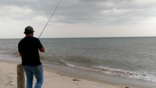 Try Beach Fishing at Springfield Beach Chaam [upl. by Ocire]