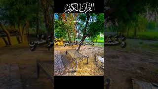 Quran Recitation by Abdullah al Mussa Surat Taa Haa 107109 quran qurantilawat quranrecitation [upl. by Ardnosal]