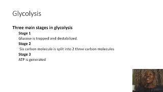 Biochemistry SimplifiedGlycolysis [upl. by Kersten132]