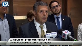 22 diputados presentan consulta de constitucionalidad sobre Ley Jaguar [upl. by Neo327]