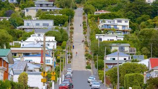 Worlds Steepest Street Dunedin City Ride South Island New Zealand 4K Video [upl. by Anirok]