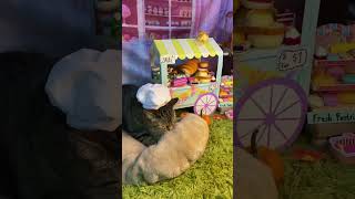 That bread stand tho 😍 El panadero con el pan 🍞 pan chefgary youtube cats cat [upl. by Akinert875]