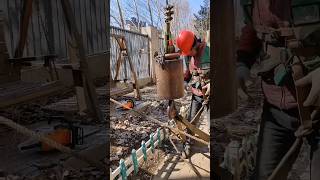 Crane assisted workers trim dead tree branches [upl. by Rahsab]