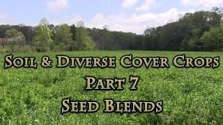 Soil amp Diverse Cover Crops Part 7 Seed Blends [upl. by Ynnaj]