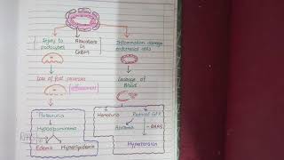 Nephrotic and Nephritic Syndrome [upl. by Nosyerg]