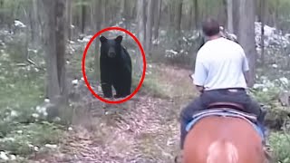 Russian Man Encounters The Wrong Black Bear [upl. by Ynnig500]