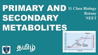 Primary and Secondary Metabolites Tamil  Biomolecules  Botany I Class 11  TNSCERT  NEET [upl. by Enej158]