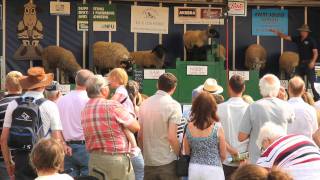 BAKEWELL SHOW 2011 [upl. by Helbonna]