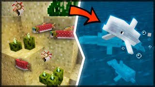 ✔ CHEGARAM OS GOLFINHOS CONCHAS E PEPINOS  MINECRAFT 113  13 [upl. by Savart]