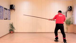 Wing Tsun Long Pole  BWTA [upl. by Bendicta292]