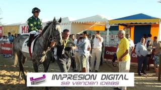 Carreras de Caballos Sanlúcar de Barrameda 2014  primer día del segundo ciclo [upl. by Atsillac]