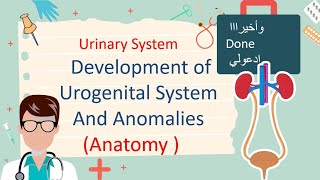 Development of Urogenital System And Renal Anomalies مليان صور توضيحية [upl. by Olonam479]