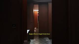 Maglev Electric Single Pocket Door [upl. by Nuyh]