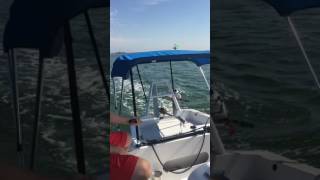 MacGregor trimaran conversion sailing to Anclote Key [upl. by Alita547]