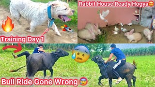 Finally Mack Ki Training Start Hogye🔥Bull Ride Gone Wrong😰Jaan Bach Gye Bs😨Rabbit House Ready Kiya🐇 [upl. by Llenrep]