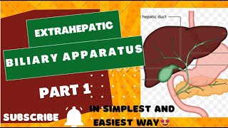 Extrahepatic biliary apparatus  in simplest wayayeshamedicaleducation [upl. by Dodie]