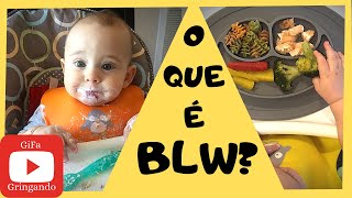 O que é BLW  Baby Led Weaning  Introdução alimentar que aprendi nos EUA [upl. by Euqirrne679]