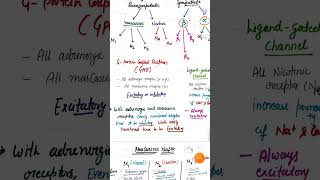 Quick revision of ANS Pharmacology for Dsssb and RRB Pharmacist exam 2024 [upl. by Henderson]