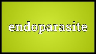 Endoparasite Meaning [upl. by Adnarom]