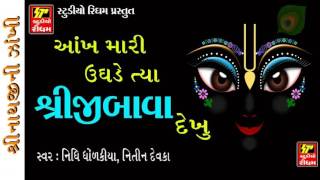 SHRINATHJI NEW SONGS 2017 AAKH MARI UGHDE TYA SHRIJIBAVA DEKHU [upl. by Onairot]