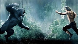 Tarzan Movie  Explained In Hindi  Hollywood movie hindi dubbed  new movie [upl. by Ximena]