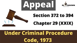 Appeal under CrPC  Section 372 to 394 of Criminal Procedure Code  Chapter 29  Lecture in Hindi [upl. by Ethelstan]